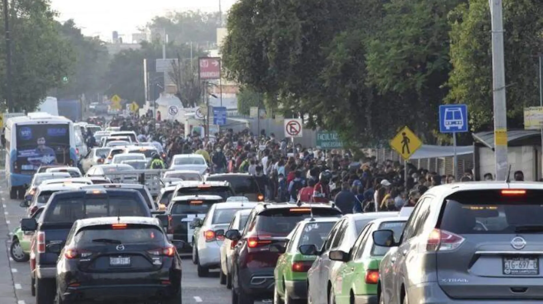 Vacunacion de niños en León